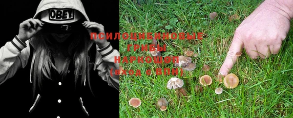 прущая мука Липки