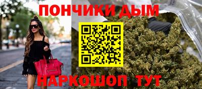 spice Гай