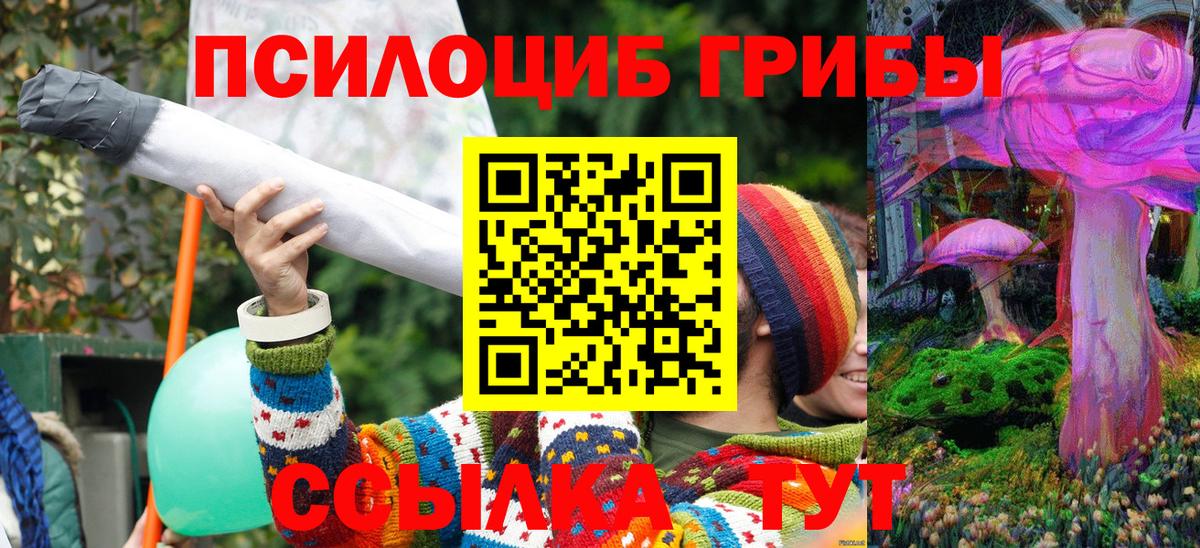 Галлюциногенные грибы GOLDEN TEACHER Миасс